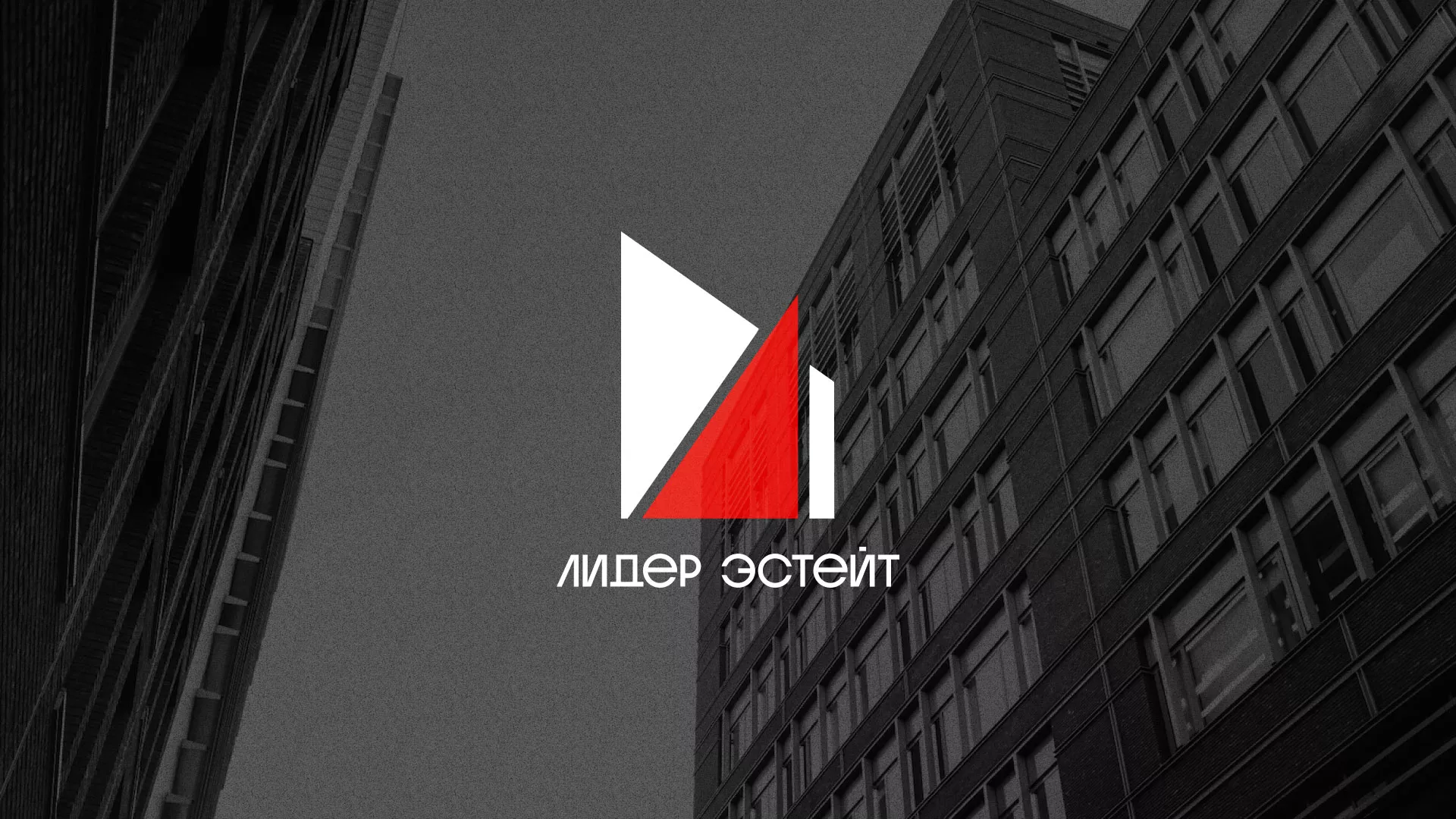 Сделали логотип для агентства недвижимости «Лидер Эстейт» в Зеленокумске